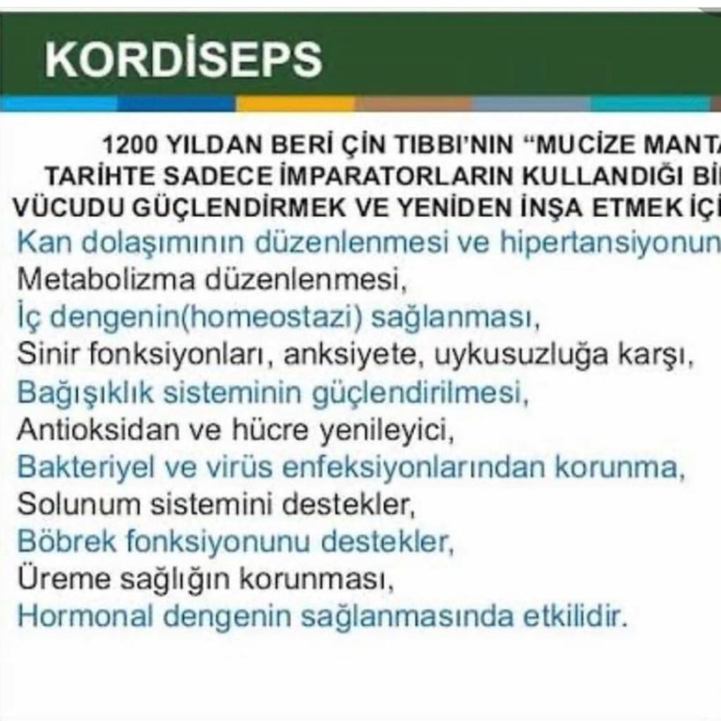 Spirulina Kapsül Bilgisi